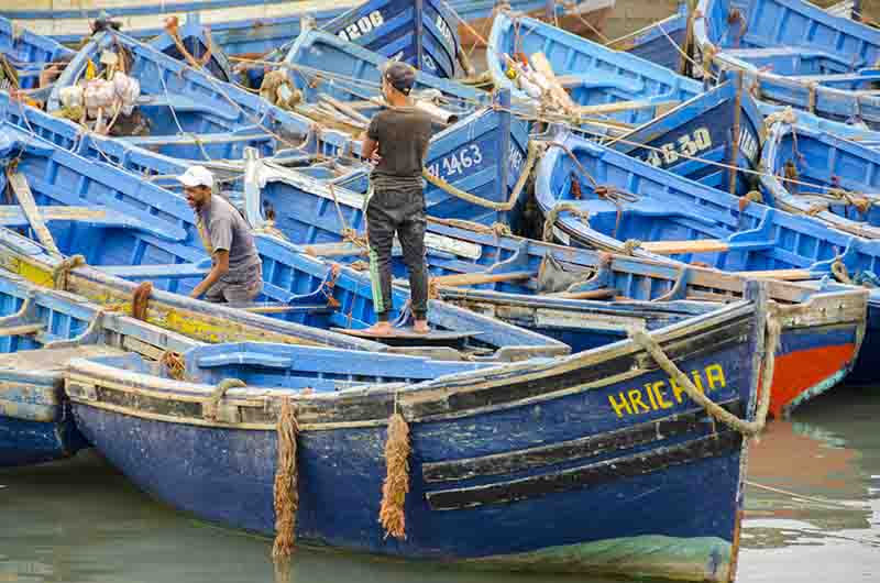 294 - Marruecos - Essaouira - puerto pesquero